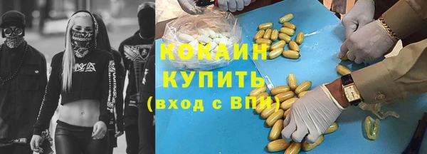 гашик Алексин