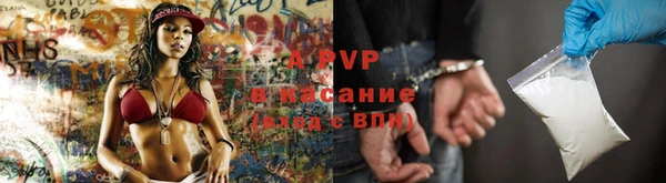 гашик Алексин