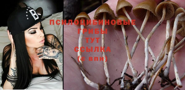 прущая мука Алзамай