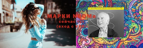 гашик Алексин