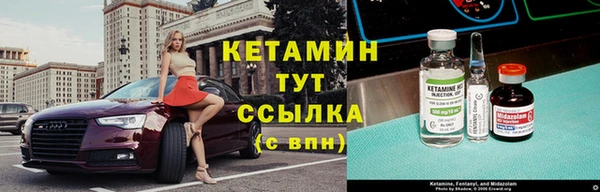 гашик Алексин
