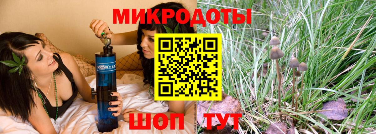 Галлюциногенные грибы мухоморы  Вход с VPN  Тавда  где купить наркоту  Галлюциногенные грибы прущие грибы 